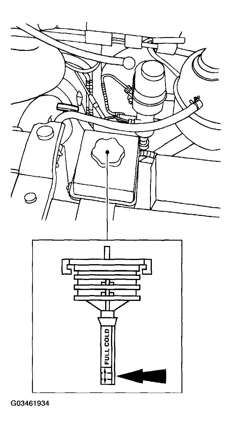G03461934