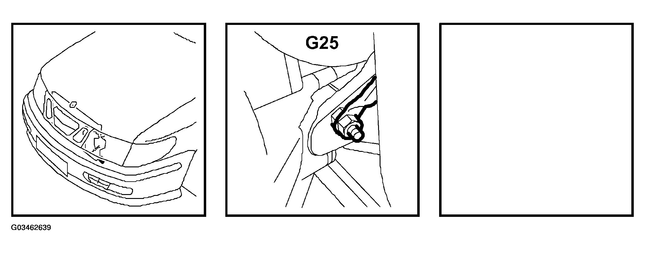 G03462639