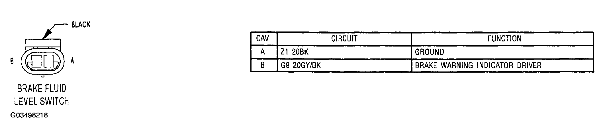 G03498218