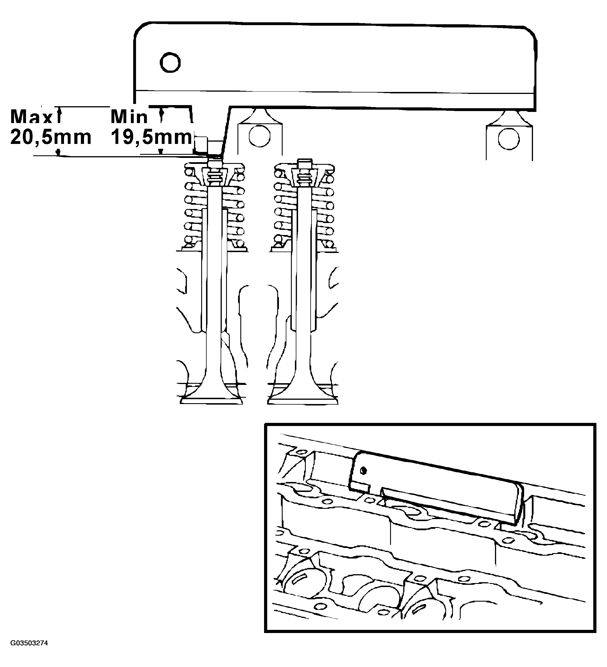 G03503274