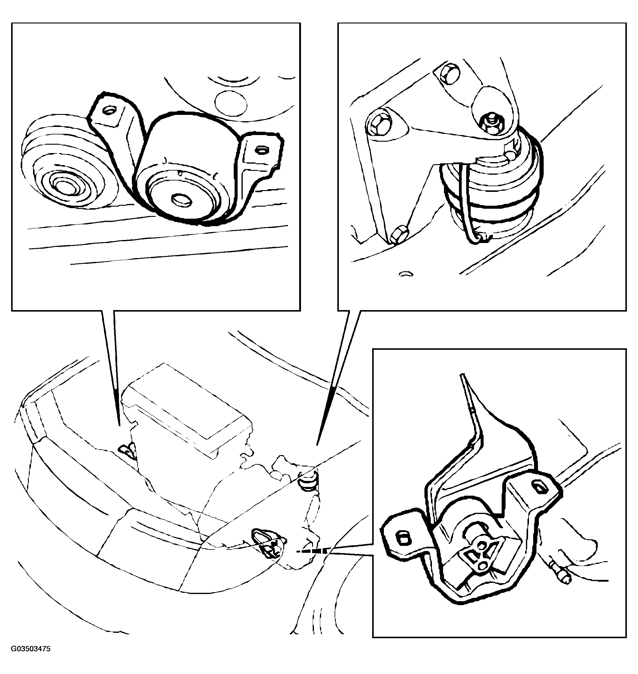 G03503475