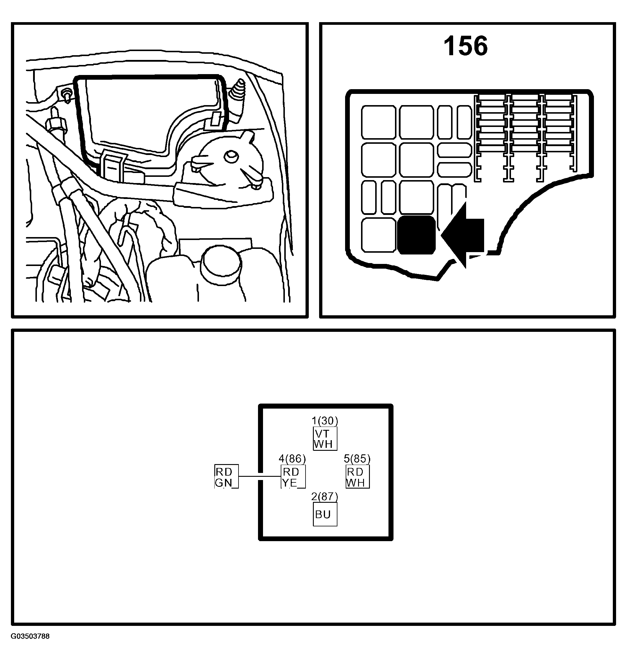 G03503788