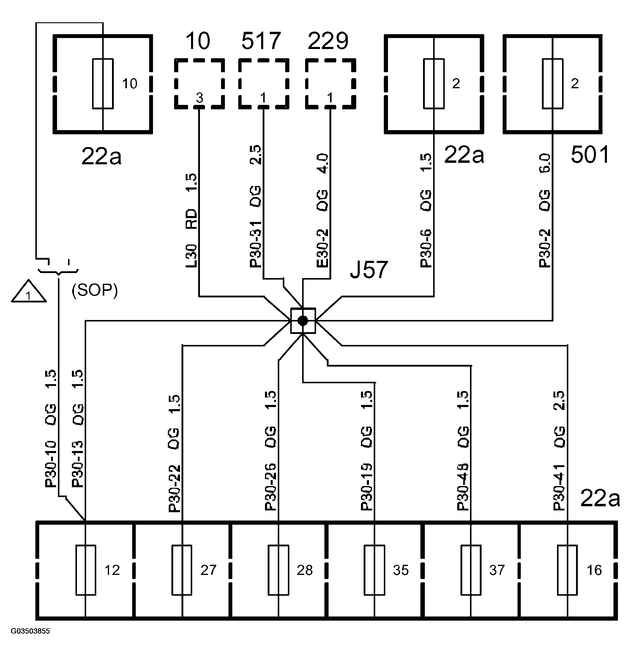 G03503855