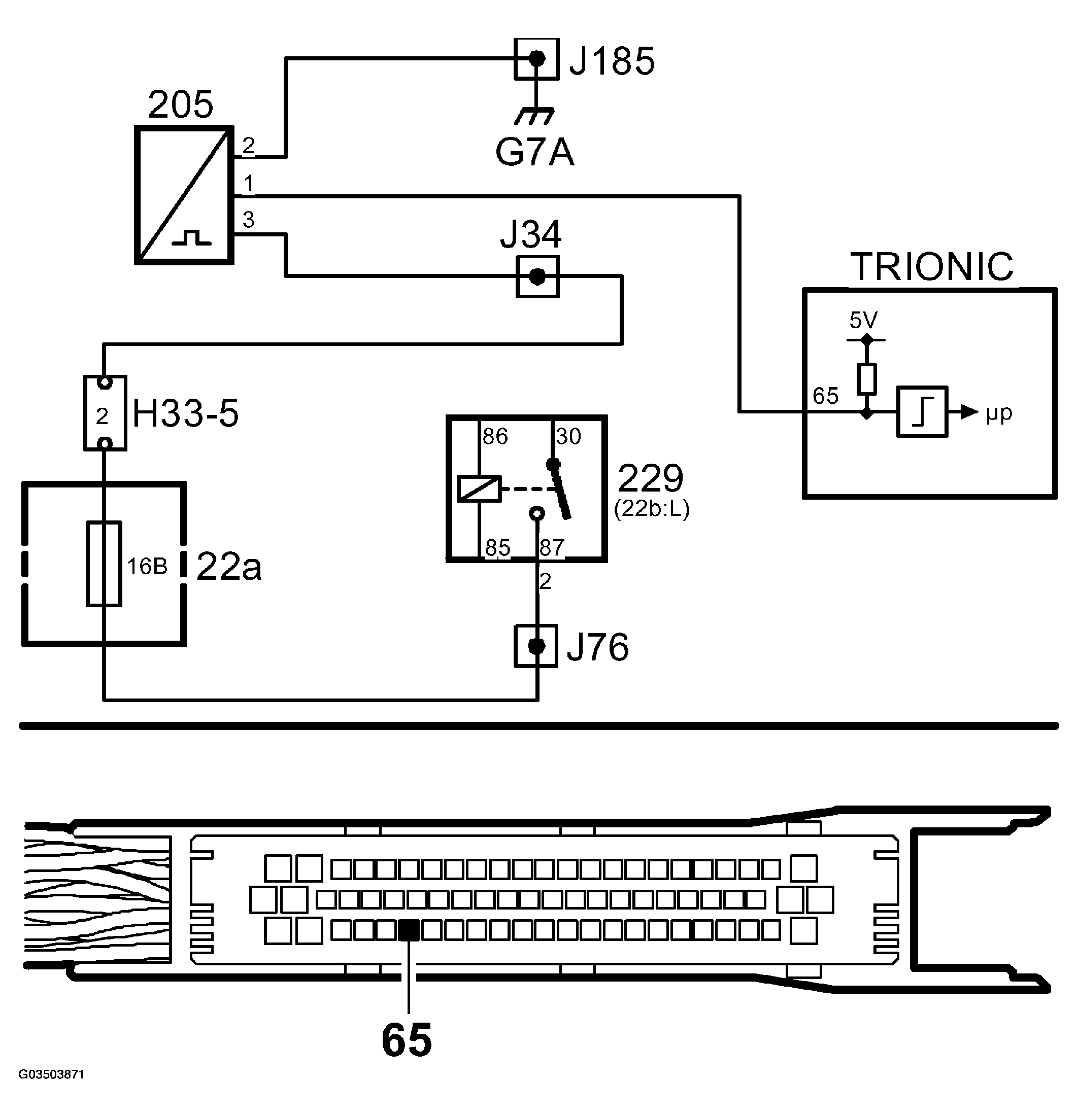 G03503871