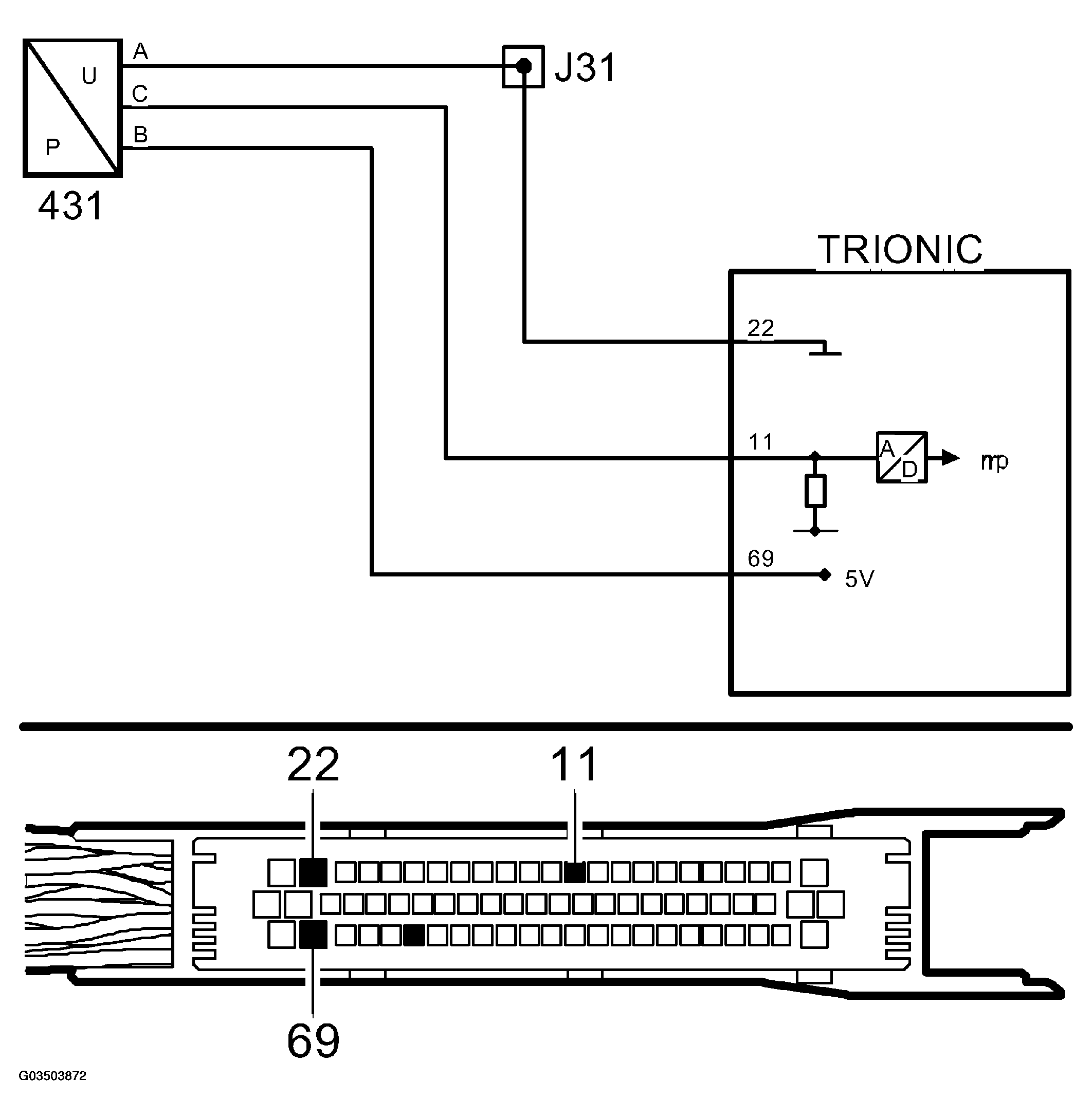 G03503872
