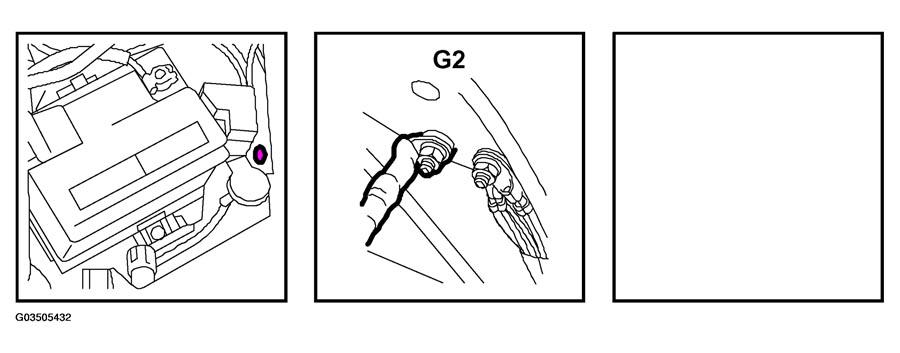 G03505432