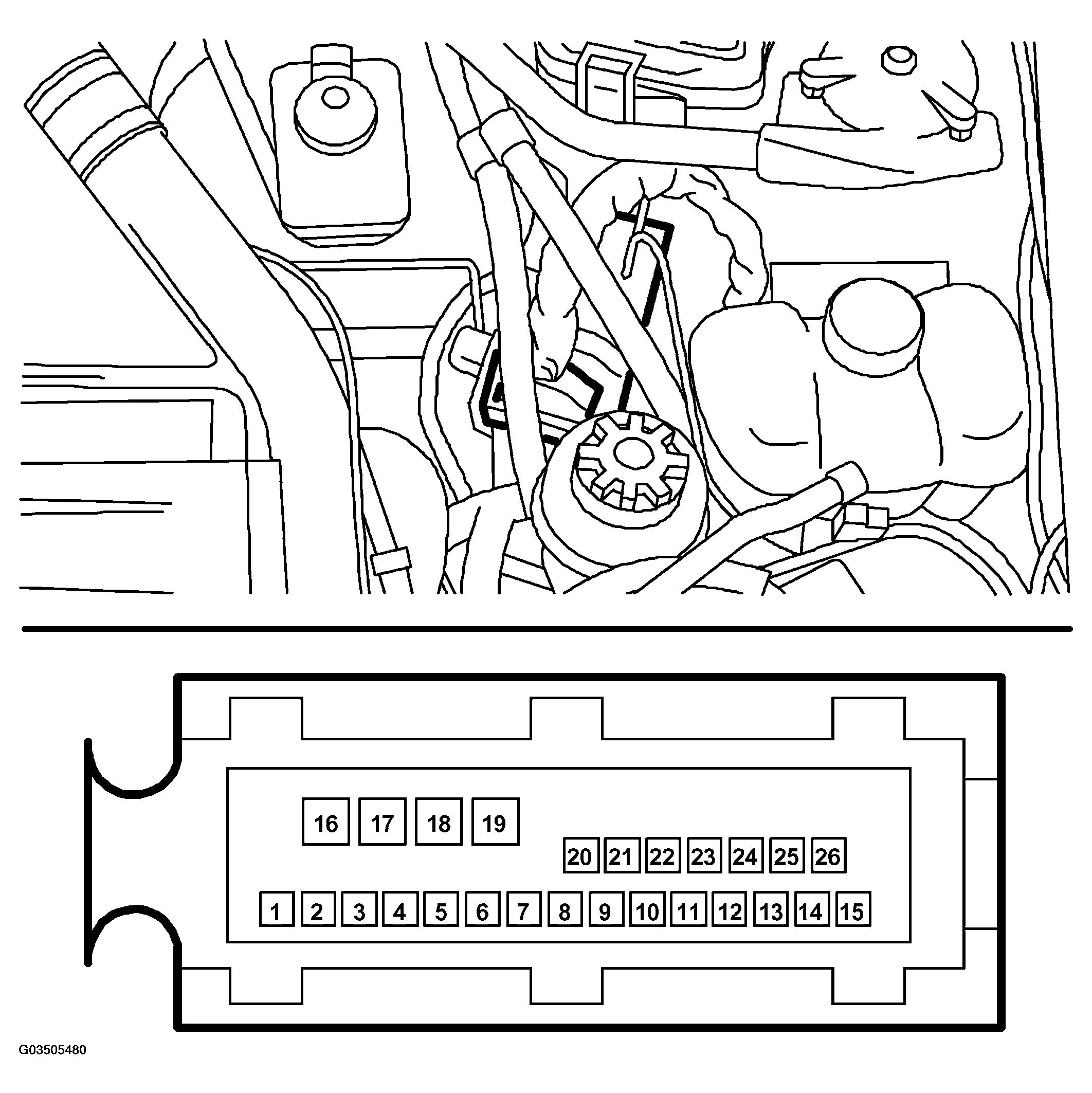 G03505480