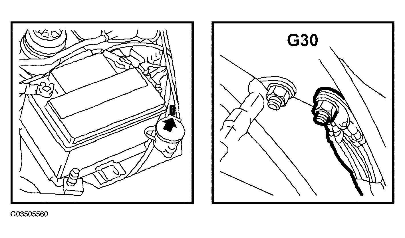 G03505560