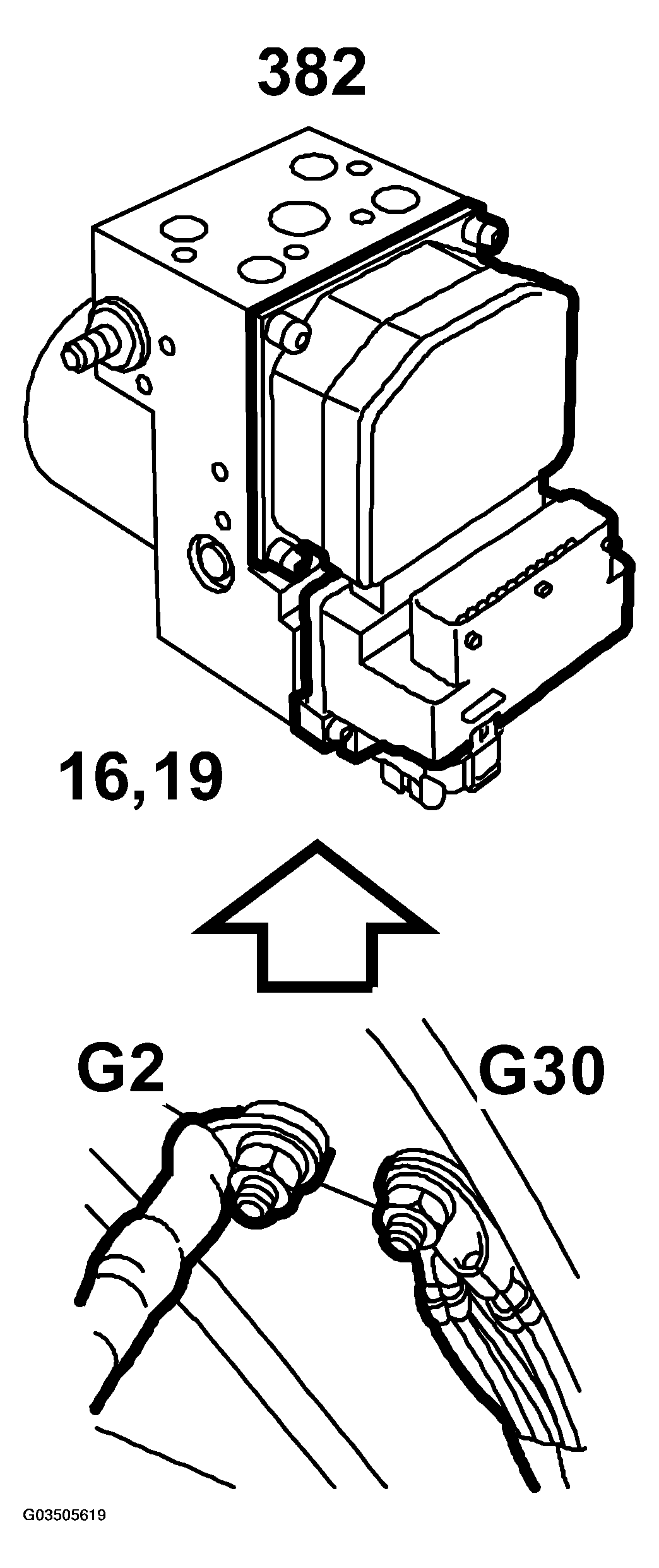 G03505619