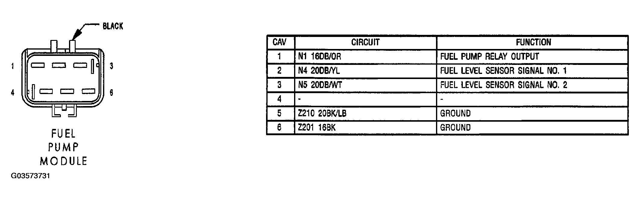 G03573731