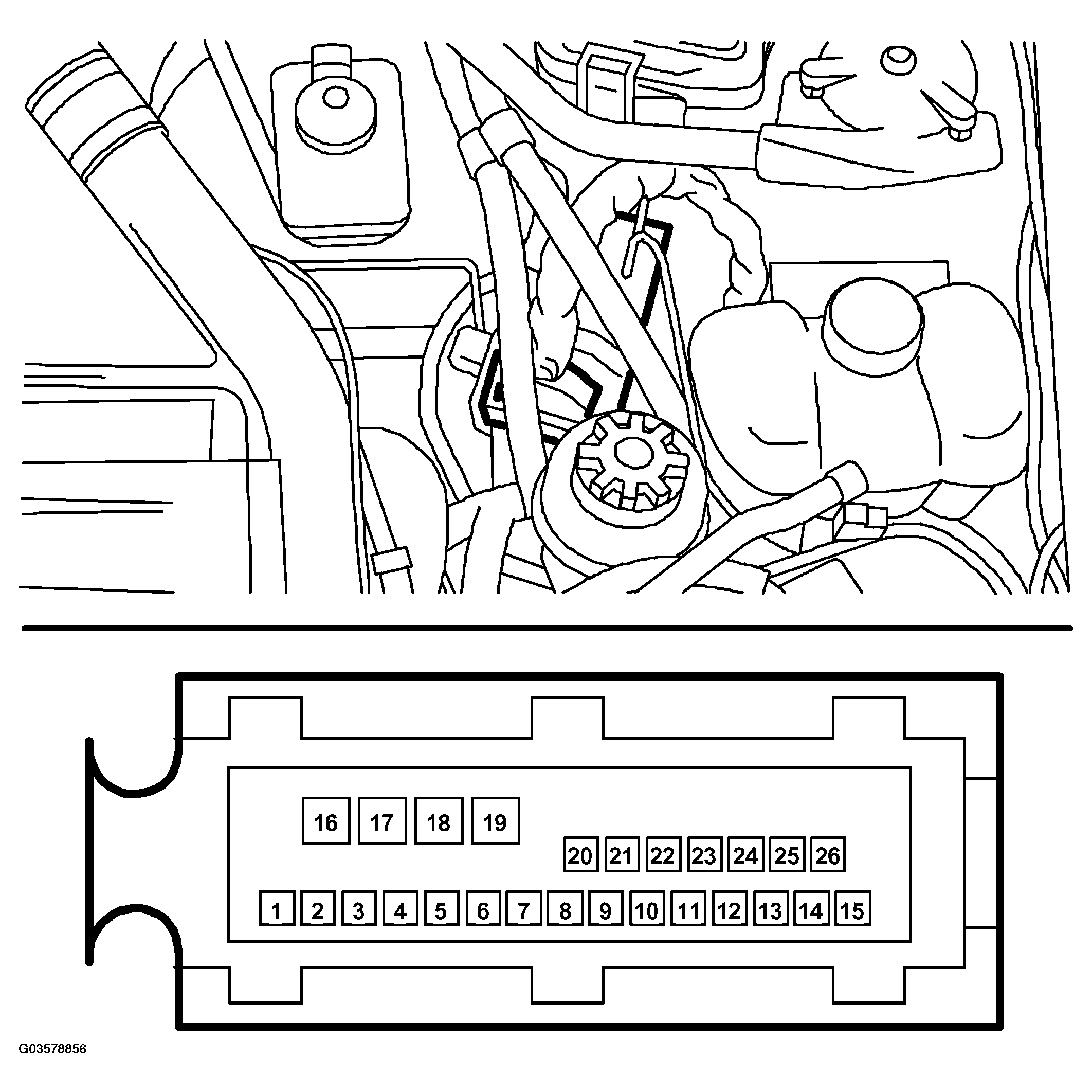 G03578856
