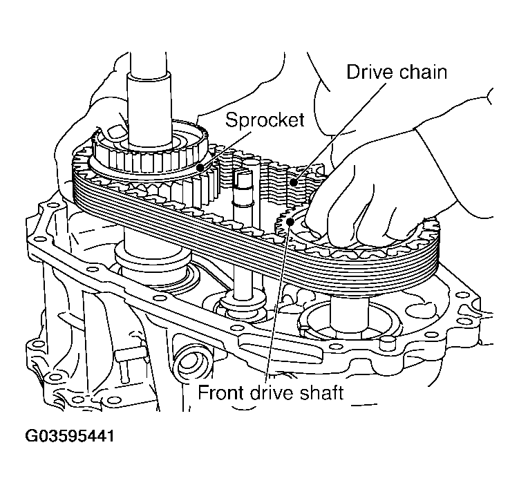 G03595441