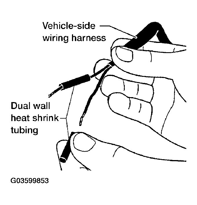 G03599853