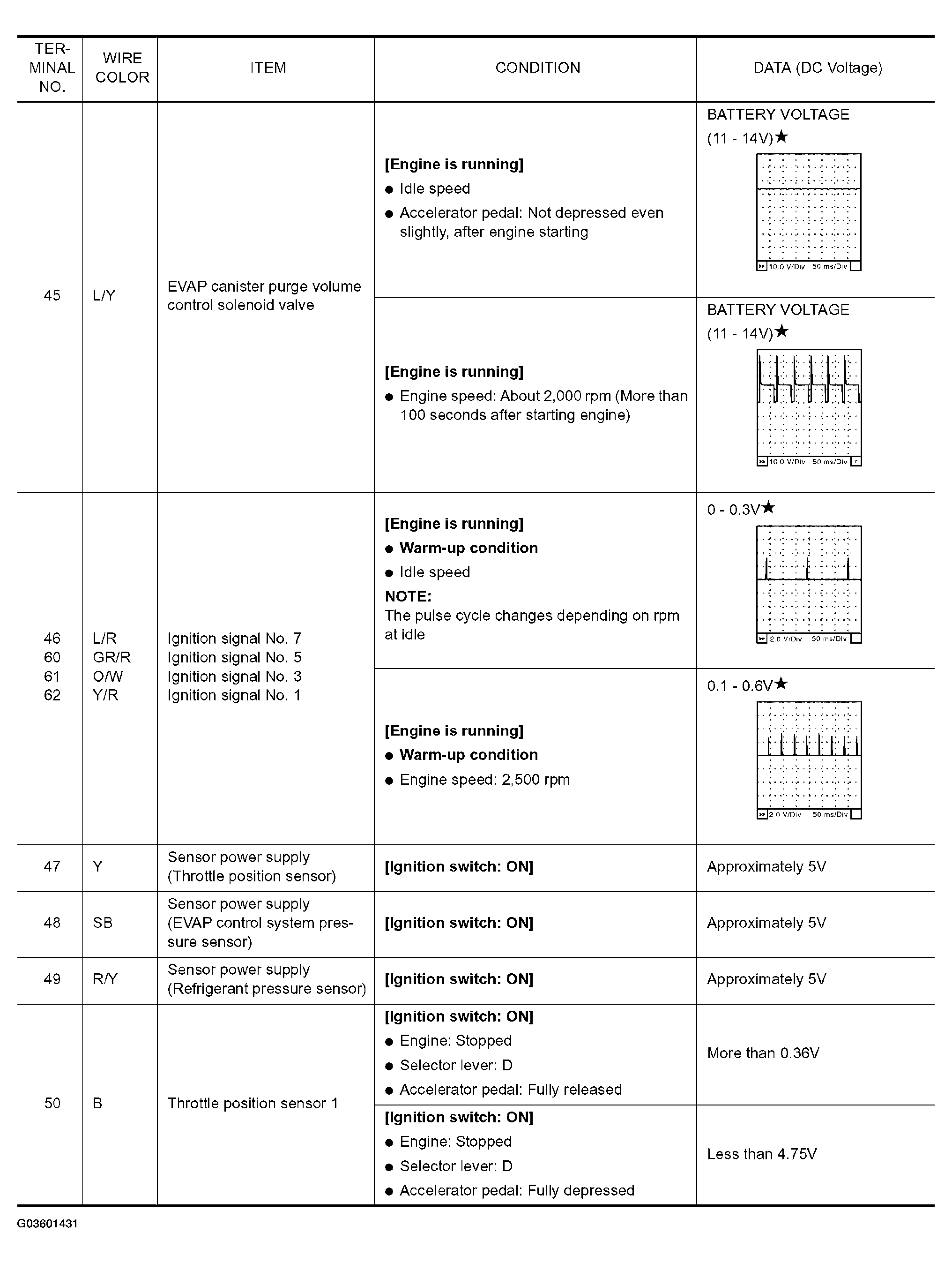 G03601431