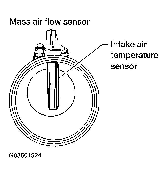 G03601524