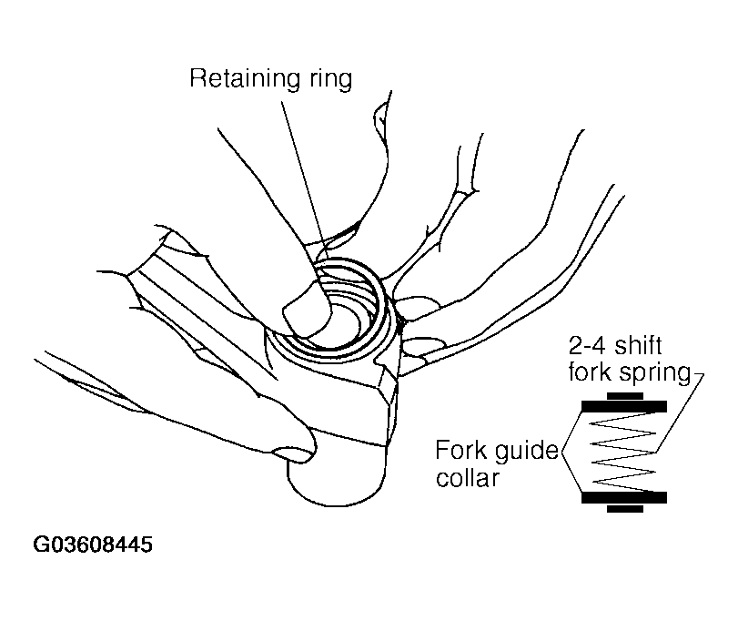 G03608445