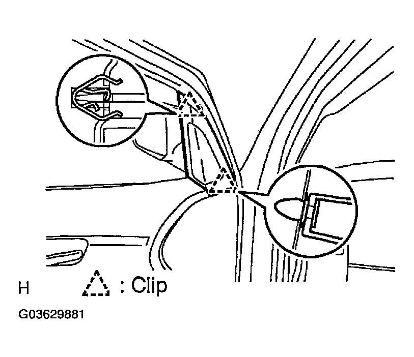 G03629881