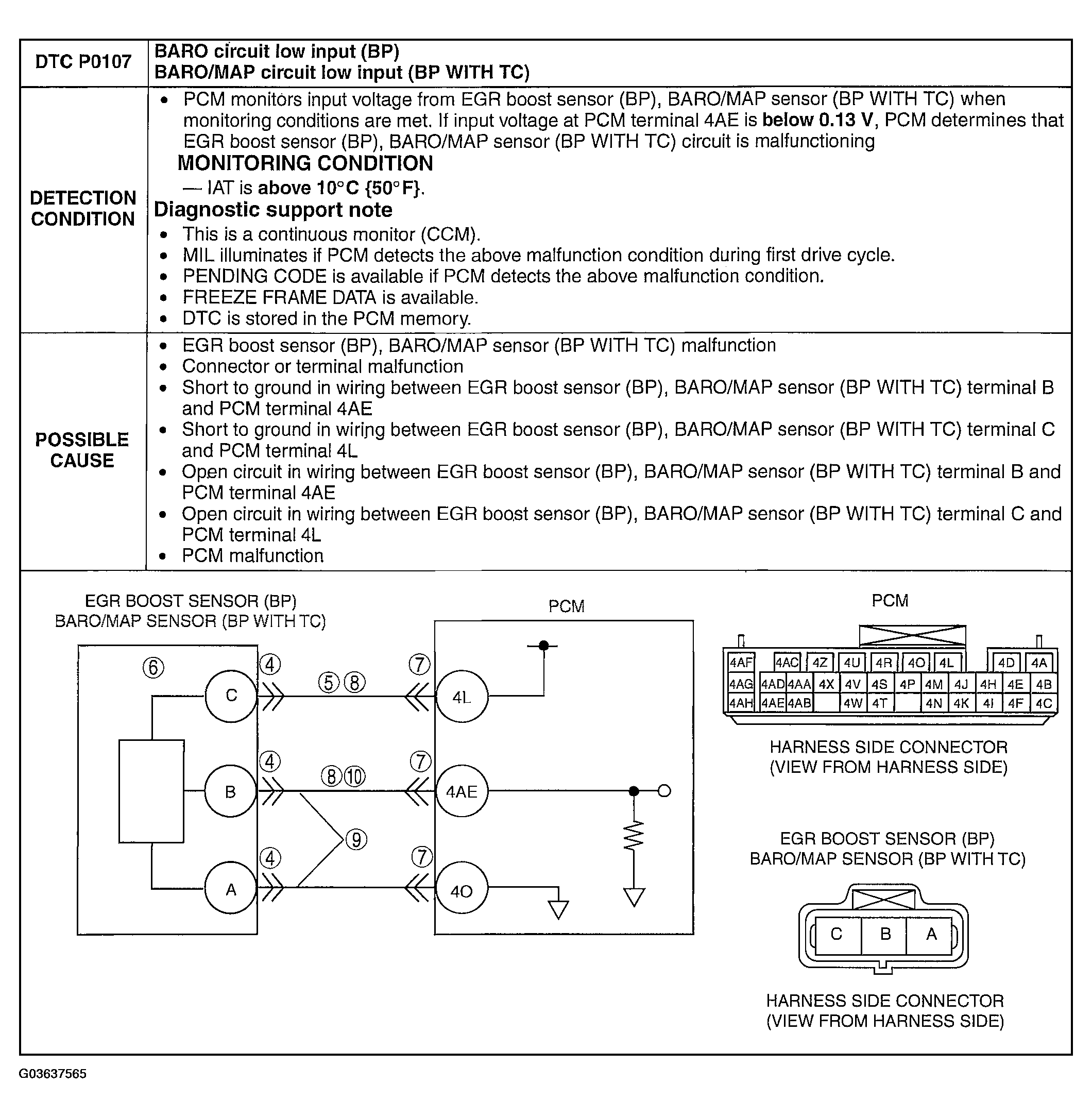 G03637565