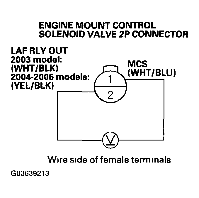 G03639213