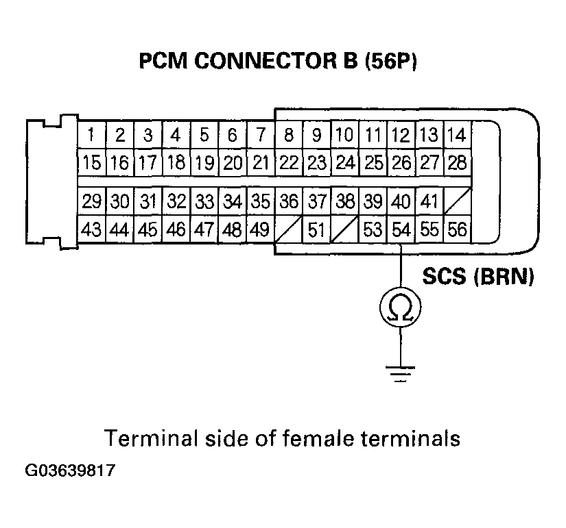 G03639817
