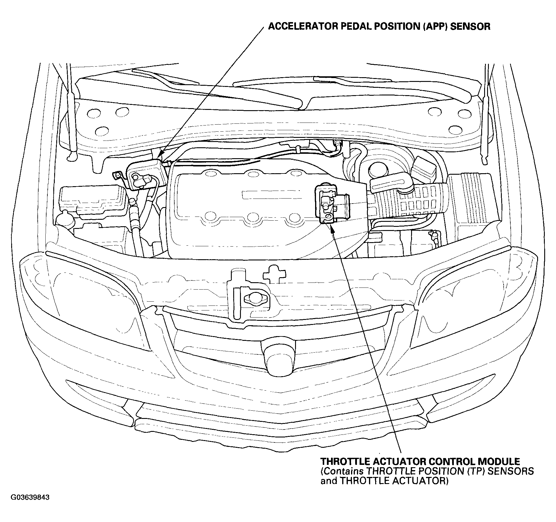 G03639843