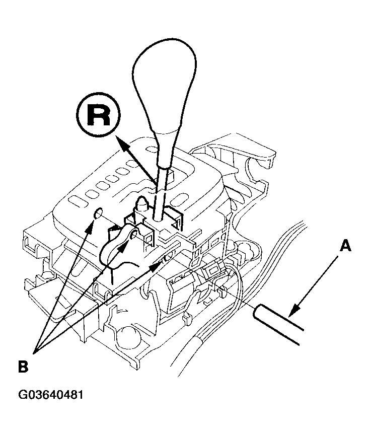 G03640481