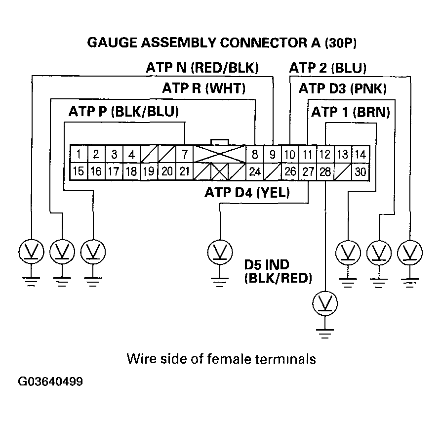 G03640499