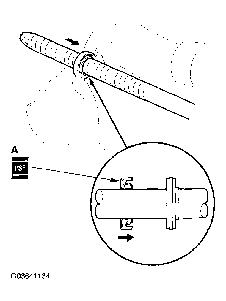 G03641134