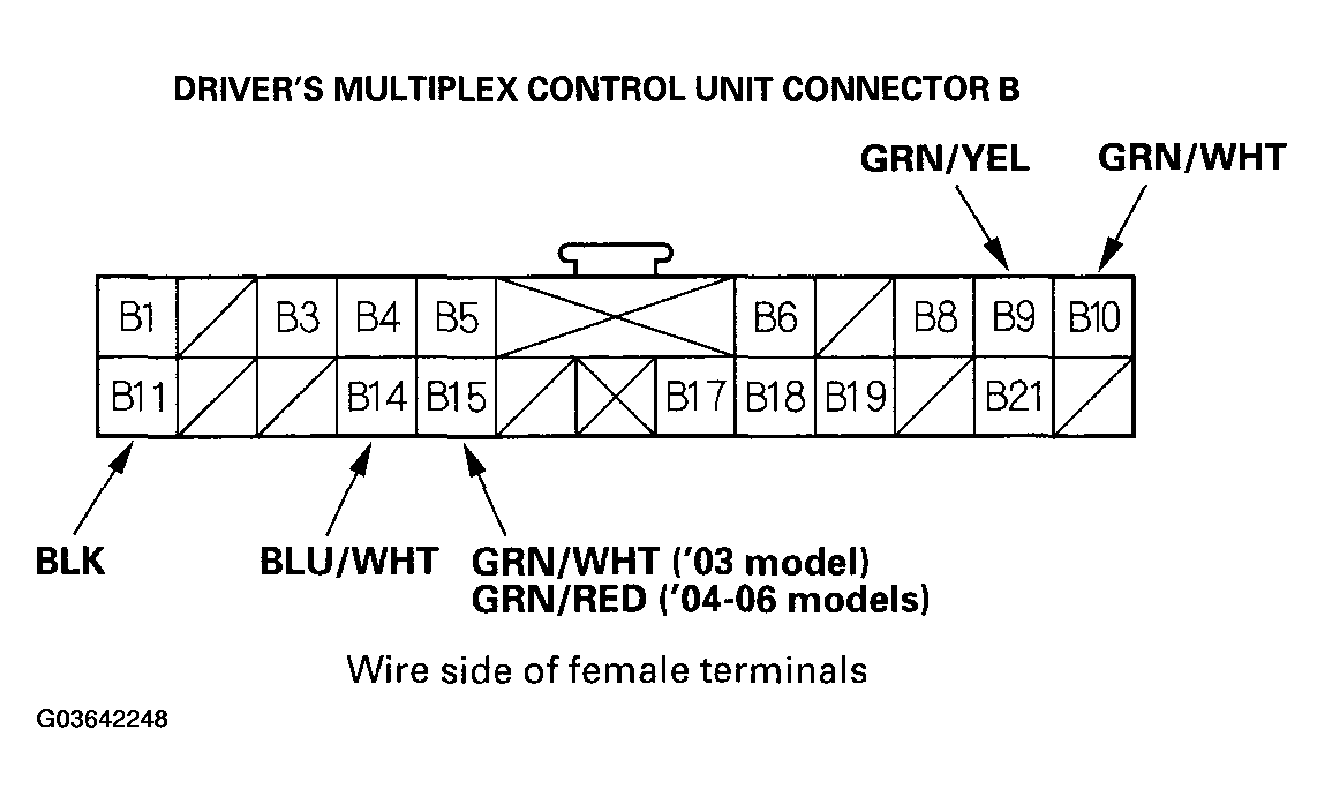 G03642248