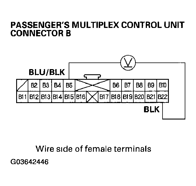 G03642446