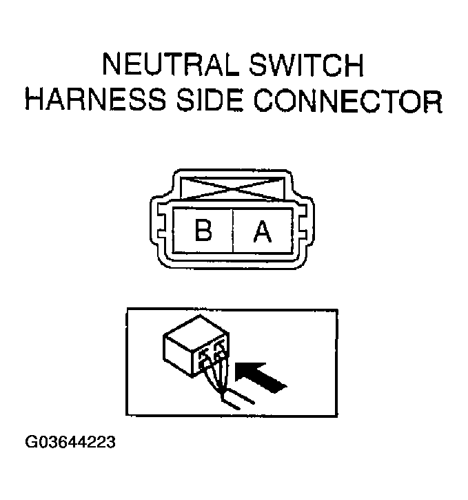 G03644223