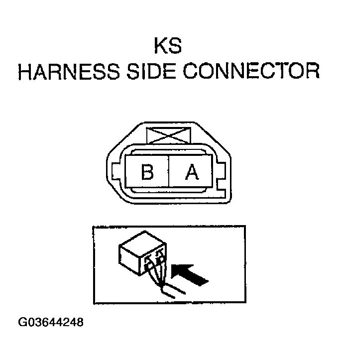 G03644248