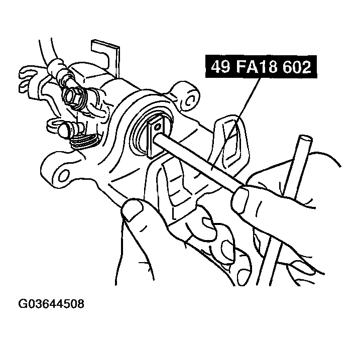 G03644508