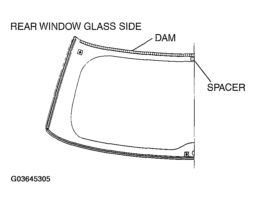 G03645305