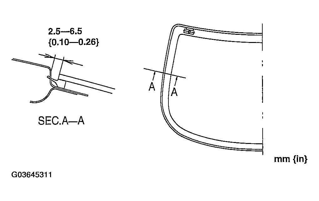 G03645311