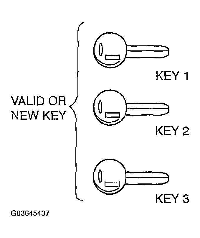 G03645437