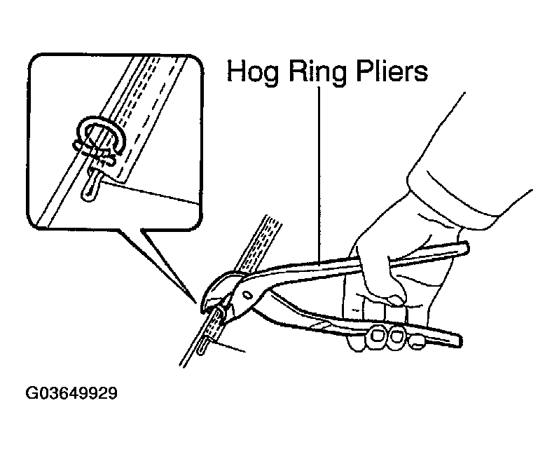 G03649929