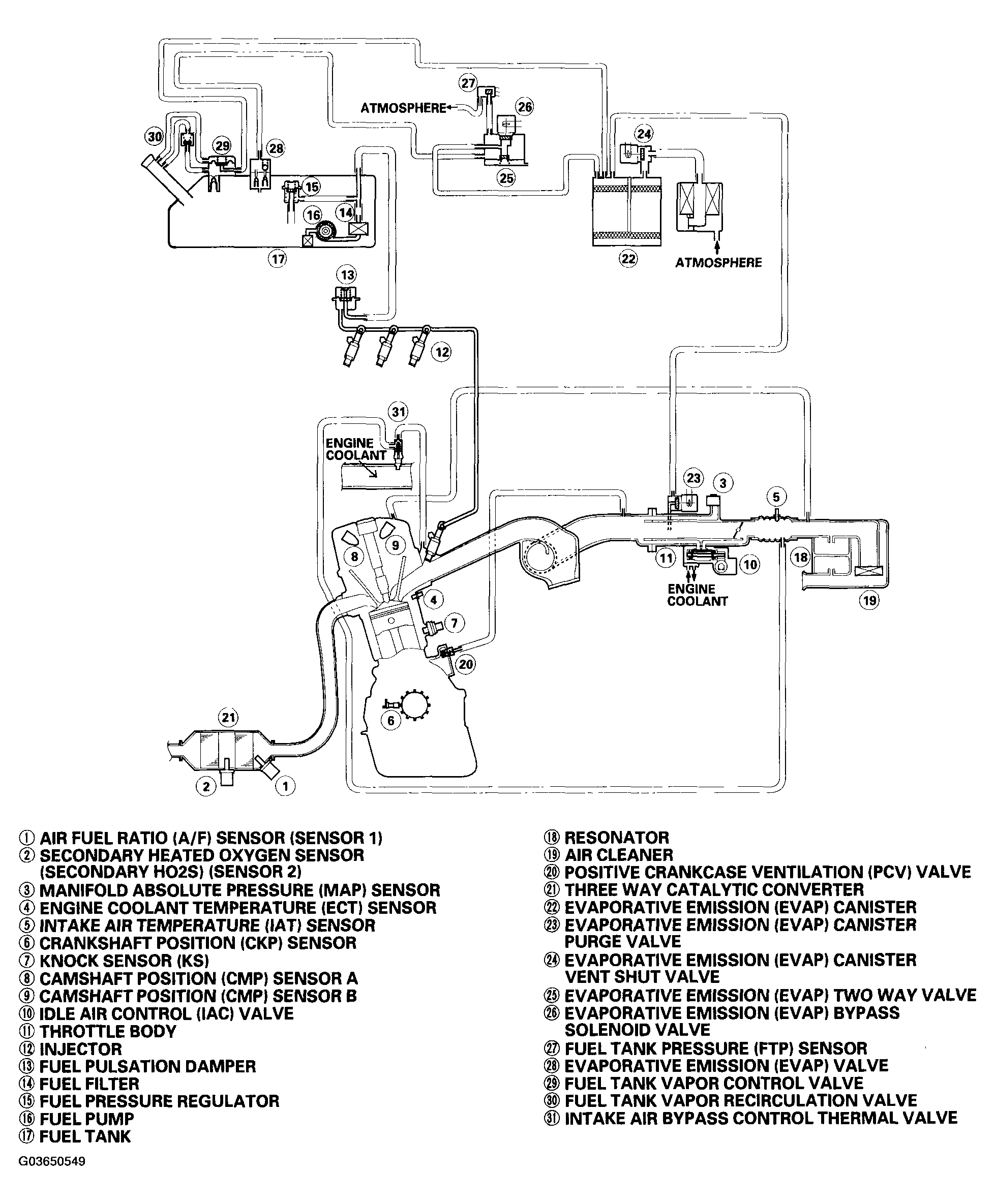 G03650549