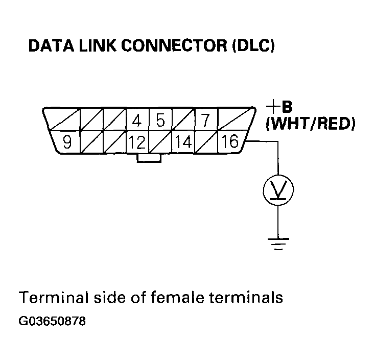 G03650878
