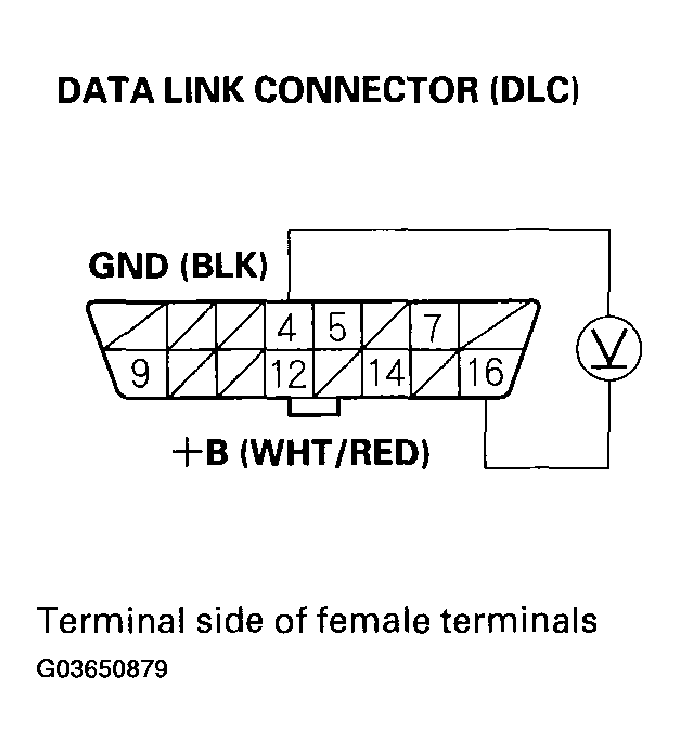 G03650879