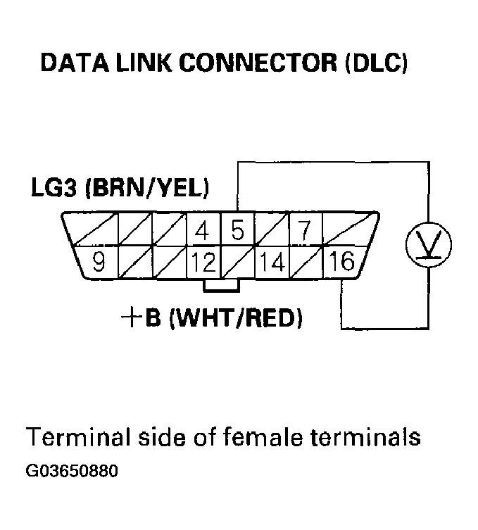 G03650880