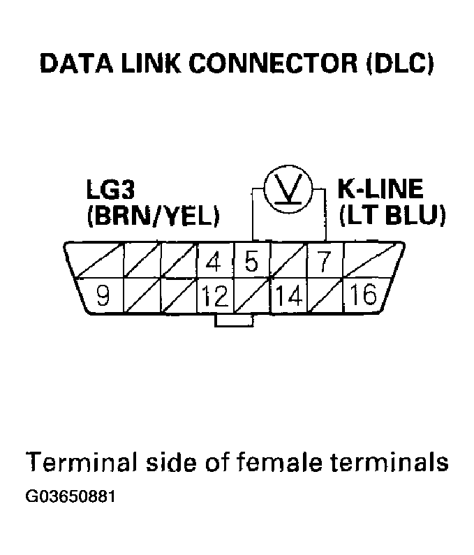 G03650881