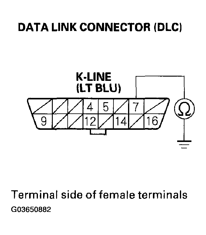 G03650882