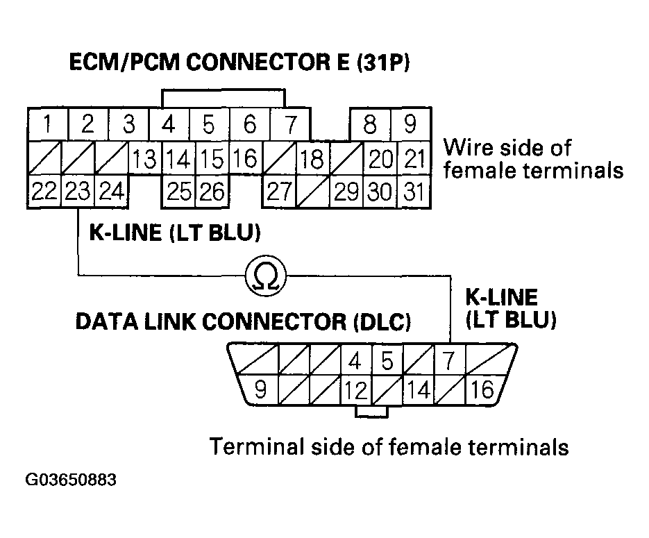 G03650883