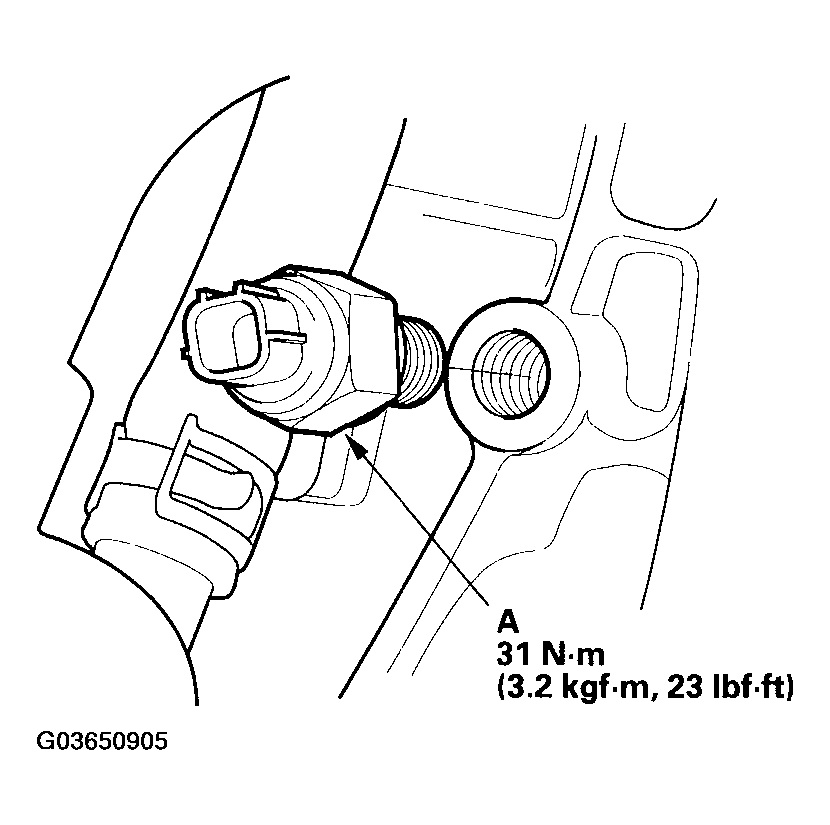 G03650905