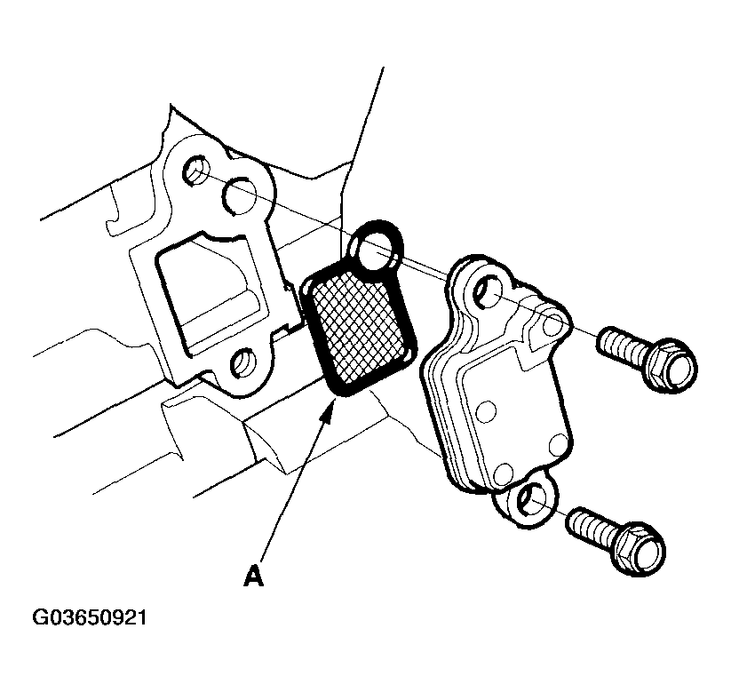 G03650921