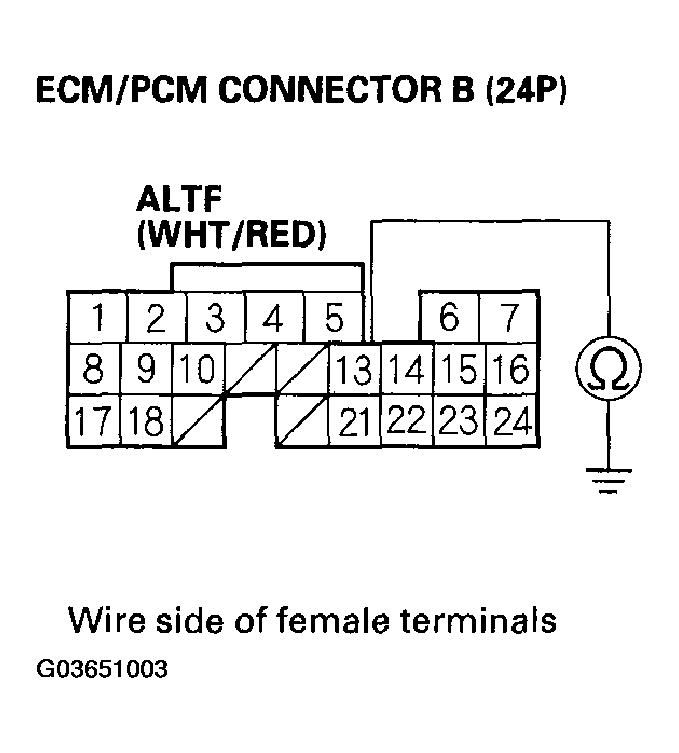 G03651003