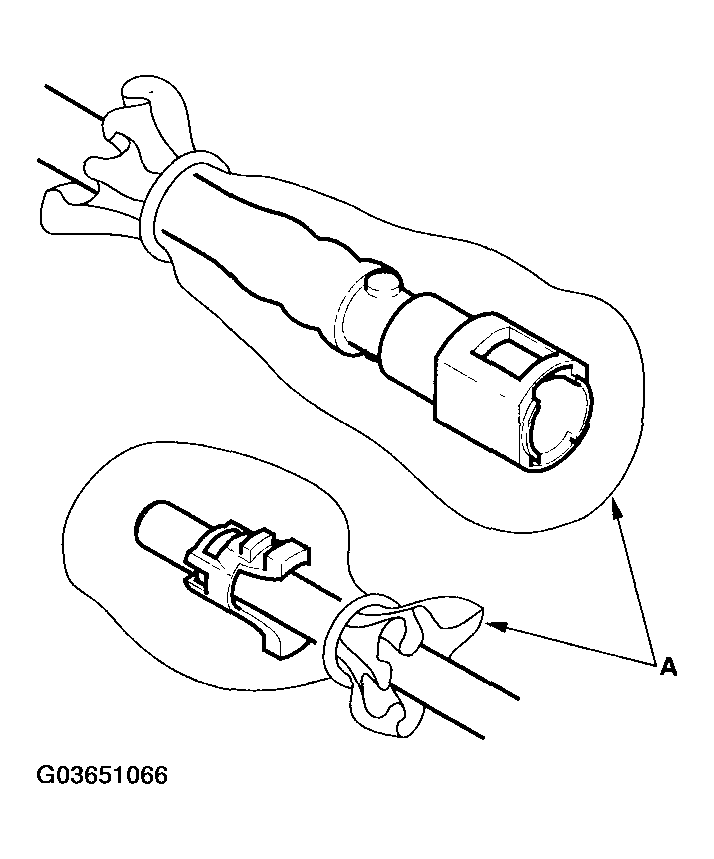G03651066