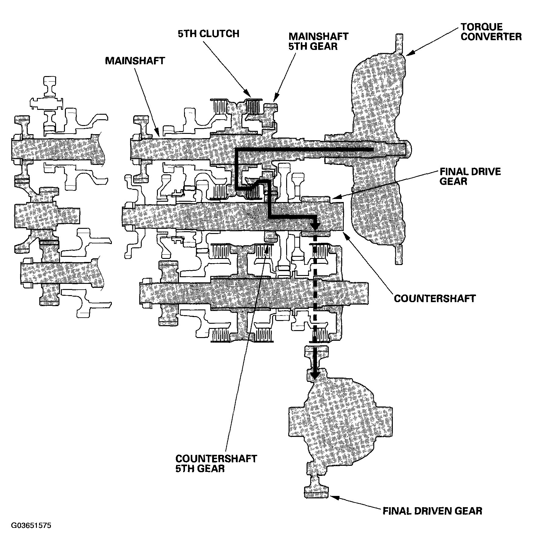 G03651575