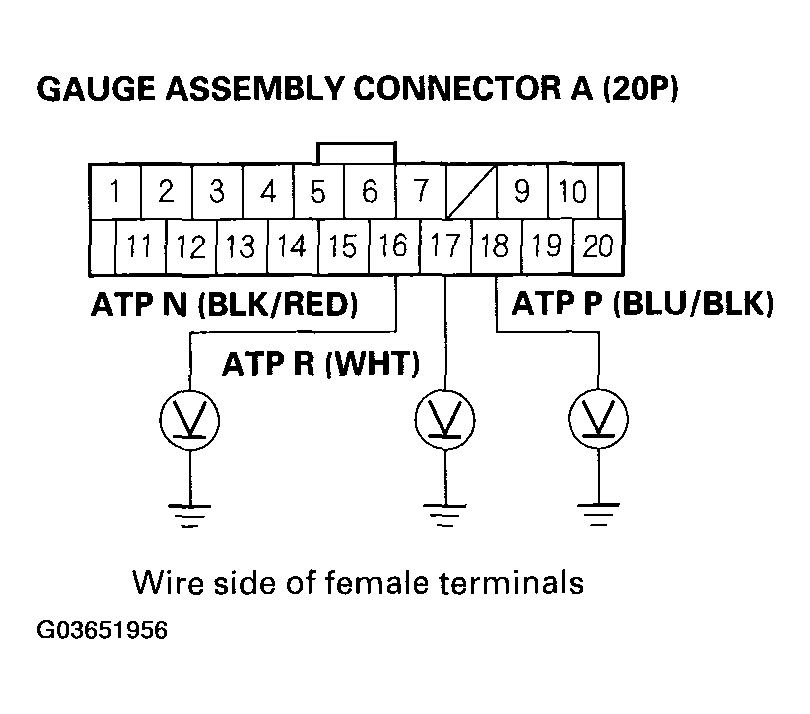 G03651956